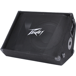 Peavey PV 12M 2-Way Floor Monitor